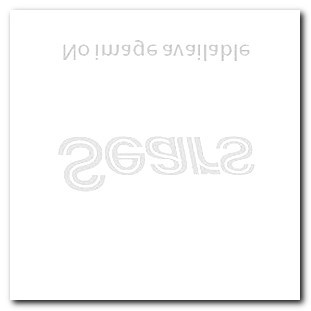 Hidden Camera Airbnb Reddit